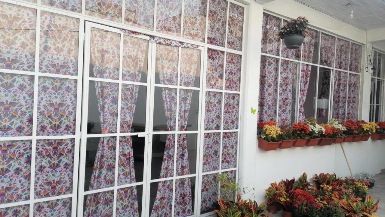 Homestay Alojamiento Colors Mexico City